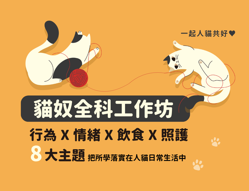 貓奴全科工作坊主視覺:兩隻貓玩毛線,行為、情緒、飲食、照護 8 大主題