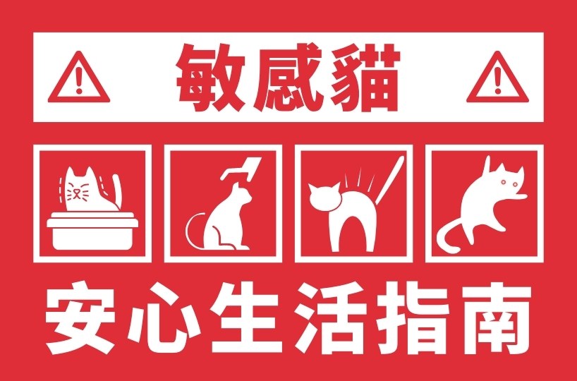 敏感貓的安心生活指南