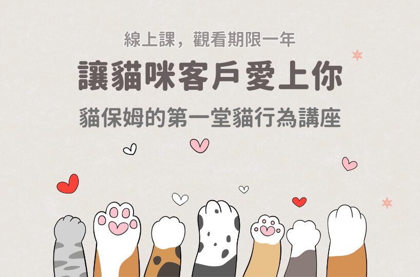 讓貓咪客戶愛上您:貓保姆的第一堂貓行為講座