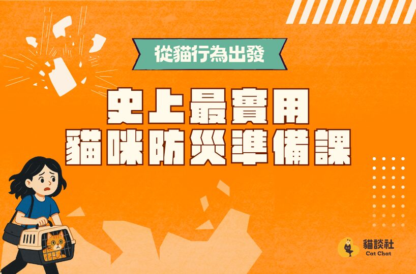 從貓行為出發:史上最實用貓咪防災準備課