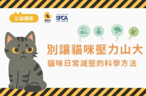 12.6  [公益講座@高雄] 別讓貓咪壓力山大！幫助貓咪日常減壓