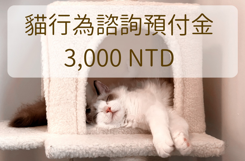 貓行為諮詢預付金 3,000 NTD