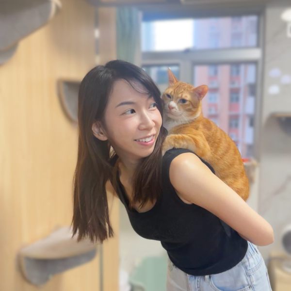 貓行為一對ㄧ諮詢|包時數優惠:圖片 5