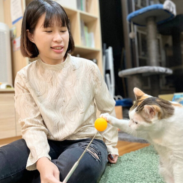 貓行為一對ㄧ諮詢|包時數優惠:圖片 3