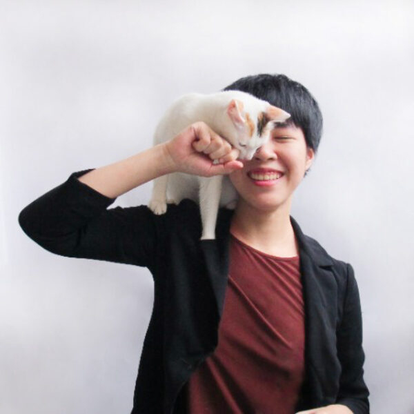 貓行為一對ㄧ諮詢|包時數優惠:圖片 2