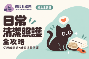 貓咪日常清潔照護全攻略（線上課）