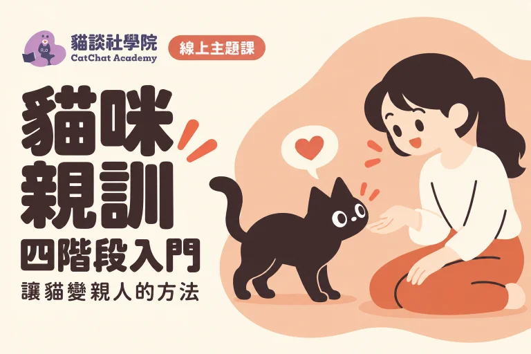 貓咪親訓四階段入門 讓貓變親人的方法