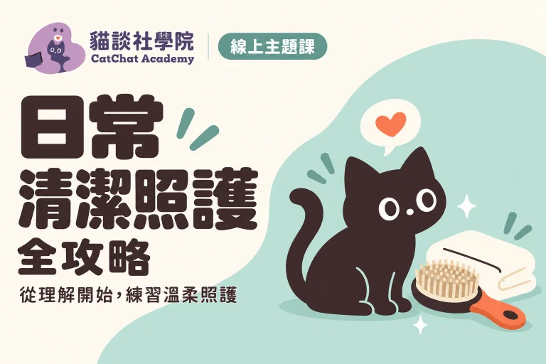 貓咪日常清潔照護全攻略