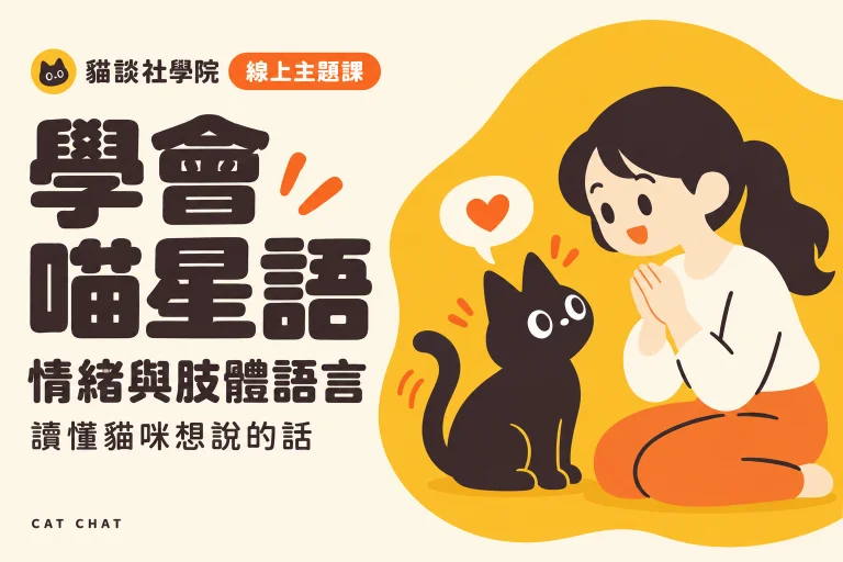 學會喵星語:解讀貓咪的情緒與肢體語言