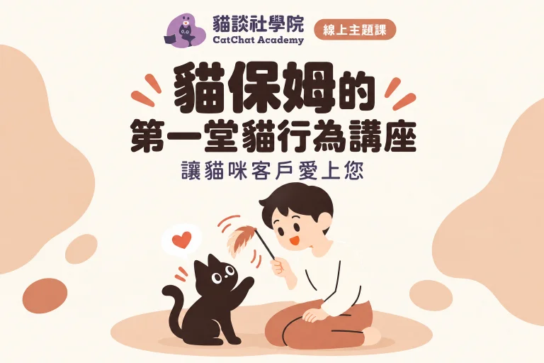 讓貓咪客戶愛上您:貓保姆的第一堂貓行為講座