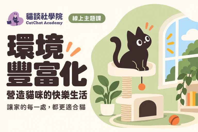 環境豐富化:營造貓咪的快樂生活