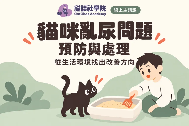 貓咪亂尿問題:預防與處理
