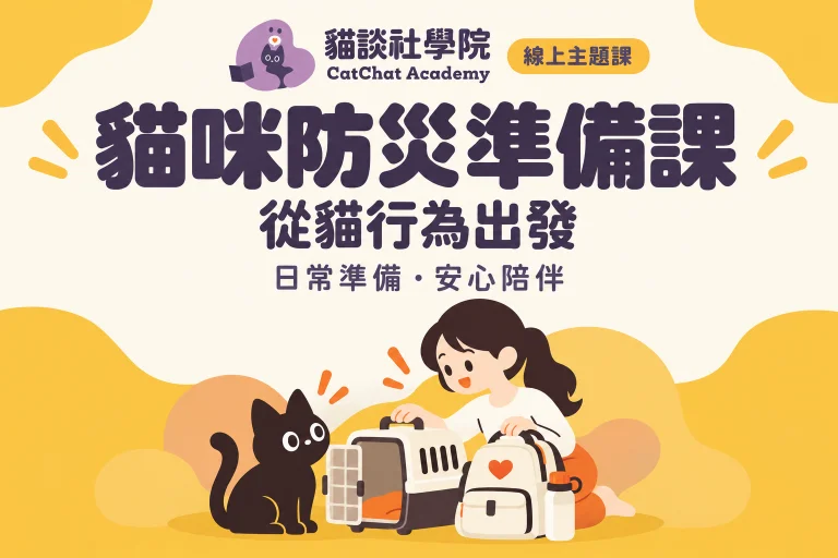 從貓行為出發:史上最實用貓咪防災準備課