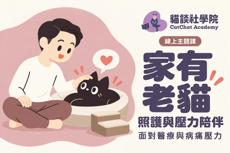 家有老貓 如何照護、面對醫療與病痛壓力