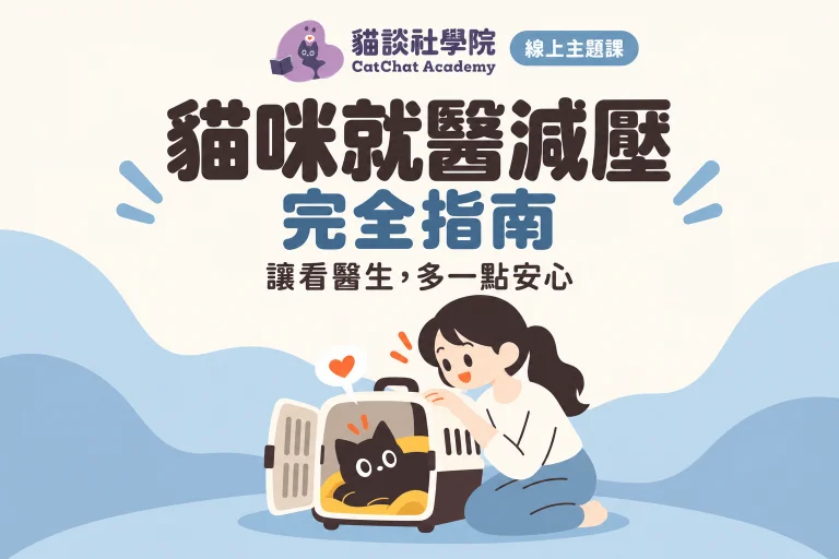 貓咪就醫減壓完全指南