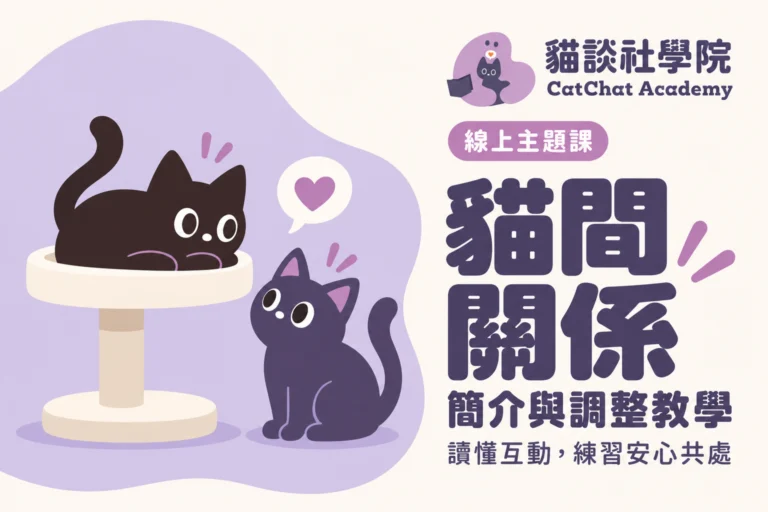 貓間關係：簡介與調整教學