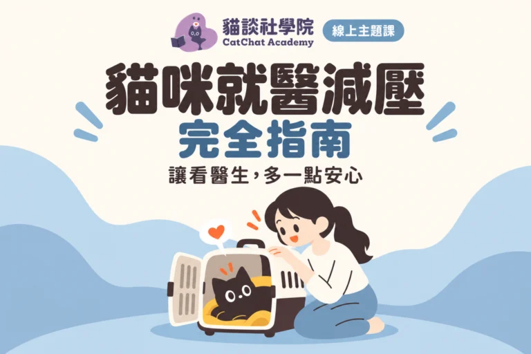 貓咪就醫減壓完全指南