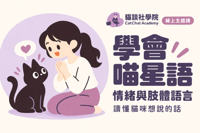 學會喵星語：解讀貓咪的情緒與肢體語言