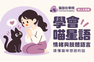 學會喵星語：解讀貓咪的情緒與肢體語言（線上課）