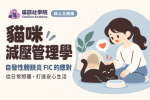 貓咪減壓管理學：貓咪自發性膀胱炎FIC的應對（線上課）