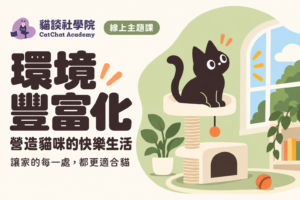 環境豐富化：營造貓咪的快樂生活（線上課）
