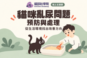 貓咪亂尿問題：預防與處理（線上課）