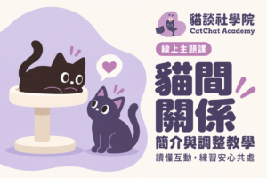 貓間關係：簡介與調整教學（線上課）