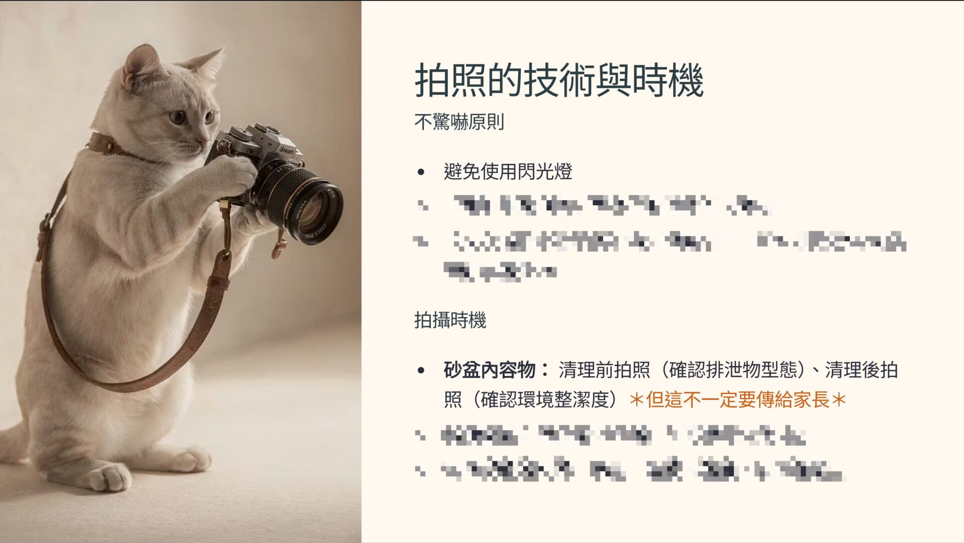 拍照的技術與時機