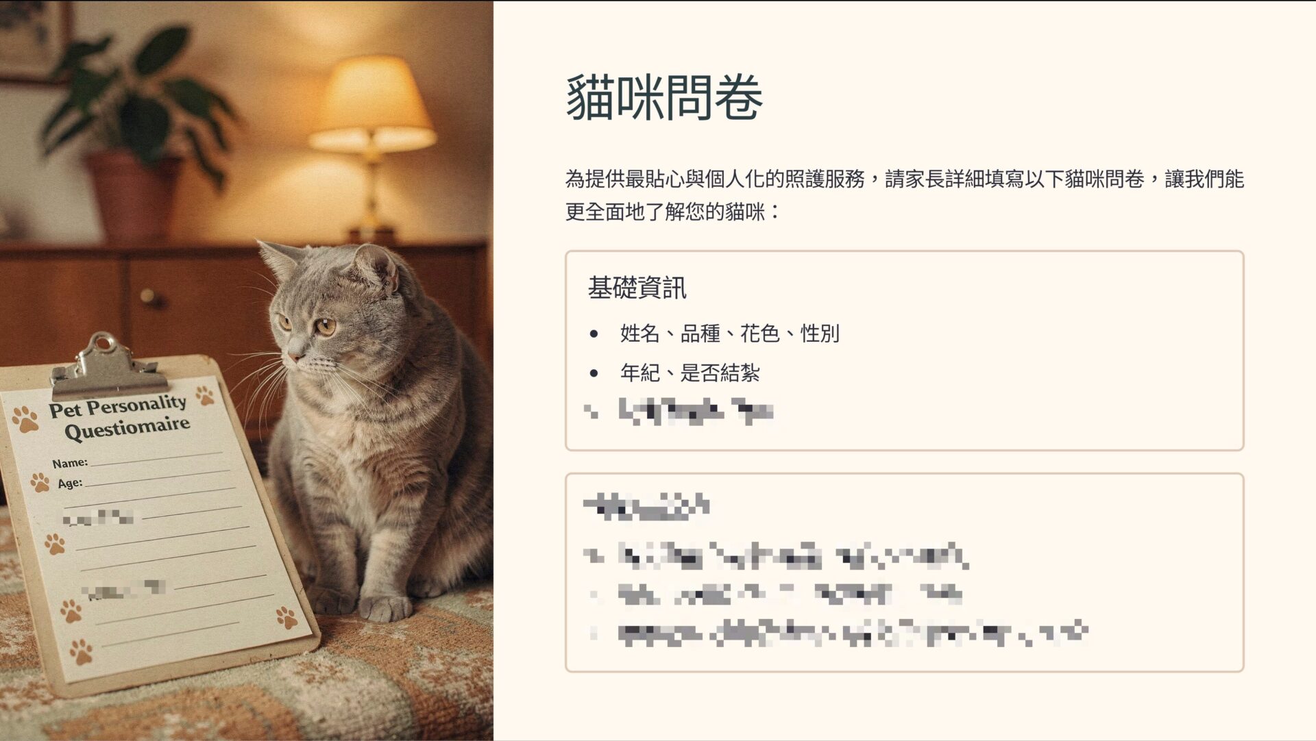 貓咪問卷