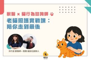 11.16 獸醫 × 貓行為諮詢師｜ 老貓照護實戰課：陪你走到最後