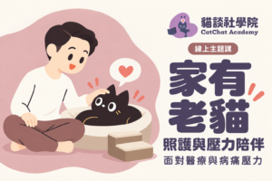 家有老貓 如何照護、面對醫療與病痛壓力（線上課）