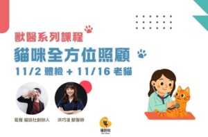 11.2、11.16 貓咪全方位照顧系列課程：從貓咪健檢、就醫減壓到老貓照護
