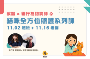 11.2 + 11.16 獸醫 × 貓行為諮詢師｜貓全方位照顧系列課：從健檢、就醫減壓到老貓照護