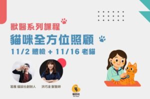 11.2、11.16 貓咪全方位照顧系列課程：從貓咪健檢、就醫減壓到老貓照護