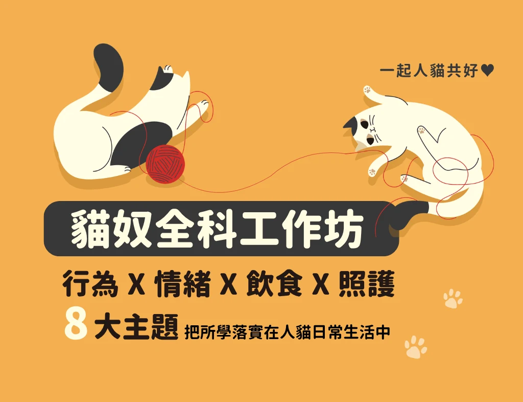 貓奴全科工作坊主視覺：兩隻貓玩毛線，行為、情緒、飲食、照護 8 大主題