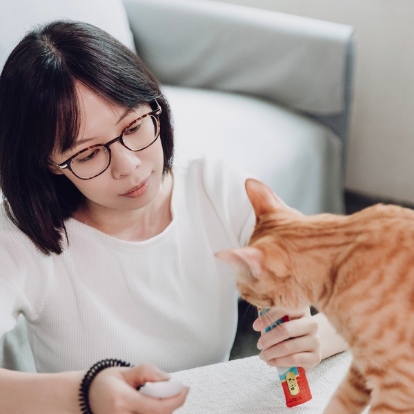 貓行為一對ㄧ諮詢|包時數優惠:圖片 6