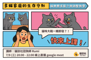 7.9 [線上講座] 多貓家庭的生存守則：貓間關係簡介與調整教學