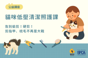 9.20  [公益講座] 貓咪低壓清潔照護課：告別偷剪硬剪！剪指甲梳毛不再是大戰
