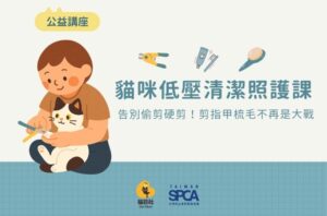 9.20  [公益講座] 貓咪低壓清潔照護課：告別偷剪硬剪！剪指甲梳毛不再是大戰