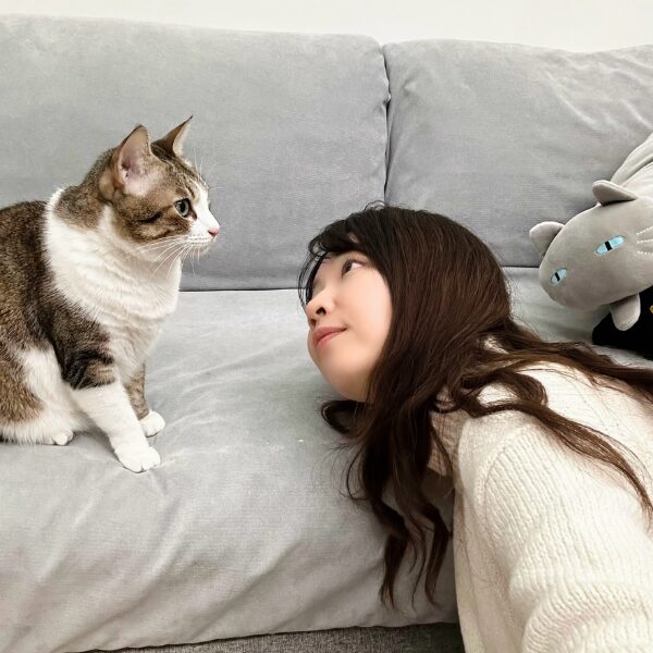 貓行為一對ㄧ諮詢|包時數優惠:圖片 7