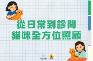 11/2.16 從日常到診間的貓咪全方位照顧：健檢、就醫減壓與老貓照護
