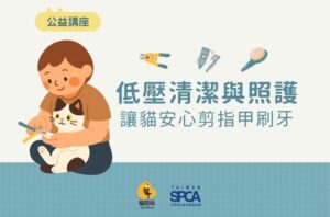 9.20  [公益講座] 低壓清潔與照護：讓貓咪安心剪指甲和刷牙