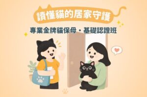 貓保母的基礎課報名中